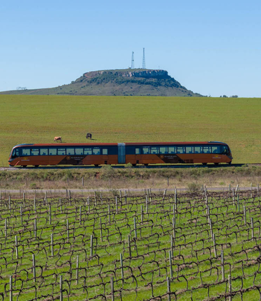 trem antigo nos pampas verdes do Rio Grande do Sul